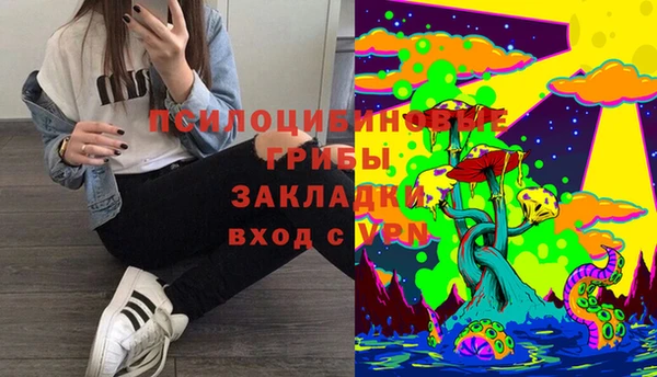 2c-b Зеленодольск